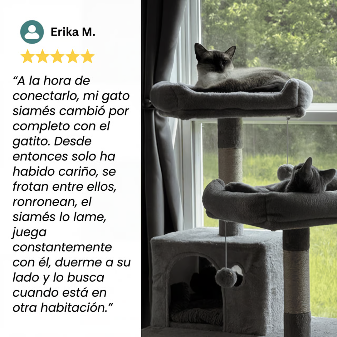 FELIVEN™ Difusor Calma Total