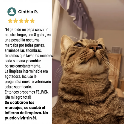 FELIVEN™ Difusor Calma Total